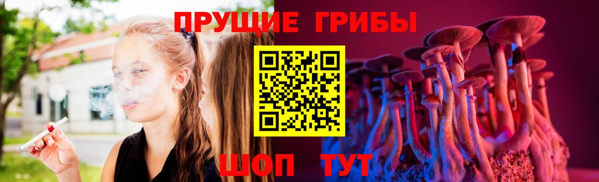 Псилоцибиновые грибы Cubensis Волжск